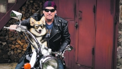 KAKAV PAS, TAKAV GOSPODAR Šta odabir ljubimca govori o njegovom vlasniku