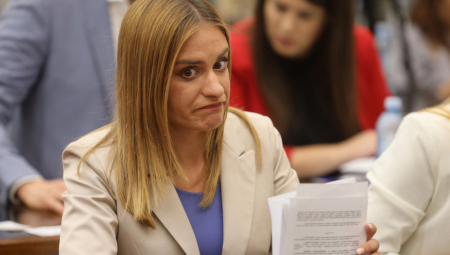 MILICA, VATRENA ŠEŠELJEVKA ZBOG TUČE OKO MOMKA IZBAČENA IZ RADIKALA Skandal koji se još prepričava u SRS