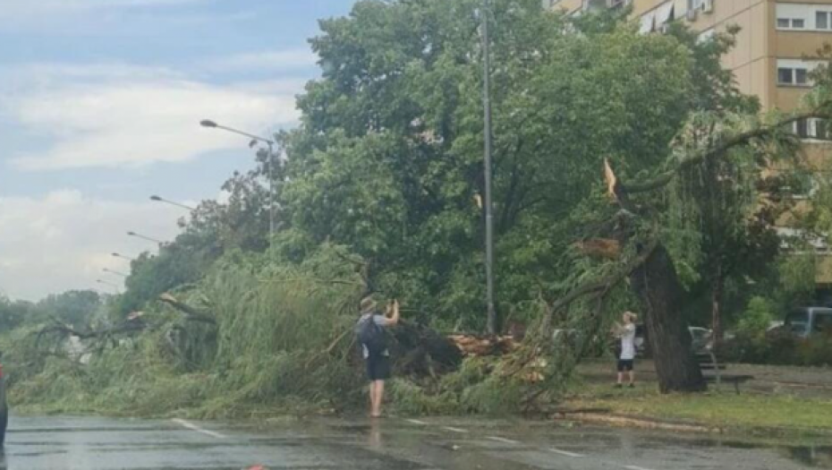 BIBLIJSKI POTOP Stravično nevreme opustošilo Novi Sad (VIDEO)
