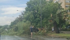 BIBLIJSKI POTOP Stravično nevreme opustošilo Novi Sad (VIDEO)