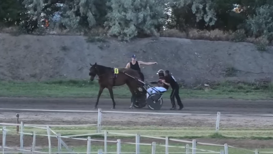 NOVI PEHAR ZA JOKIĆA Nikola blista od sreće, njegov konj slavio u prestižnoj trci (FOTO)