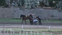 NOVI PEHAR ZA JOKIĆA Nikola blista od sreće, njegov konj slavio u prestižnoj trci (FOTO)