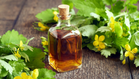 OVA BILJKA SPALJUJE BRADAVICE KAO LASEROM: Pravi je narodni lek, čišti jetru, ali pomaže i kod astme i alergija