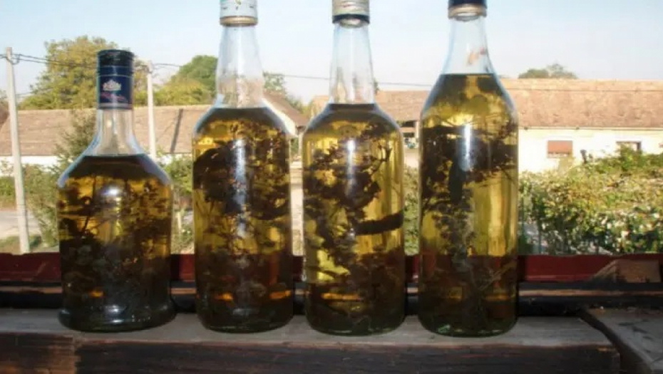 RUSKI RECEPT KOJI RASTVARA TROMB Spas za proširene i upaljene vene