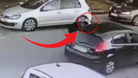 VOĐA VANDAL BOJSA NA METI PUCNJAVE U ZEMUNU Policija identifikovala trojicu napadača (VIDEO)