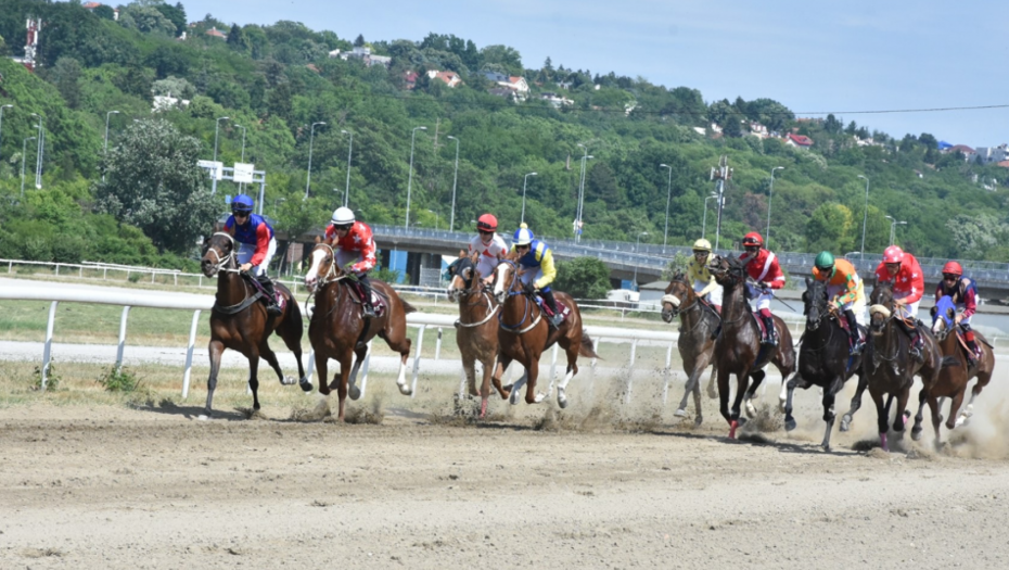 BEOGRADSKI HIPODROM VAS ZOVE Počinje sezona trka na najstarijem sportskom objektu u gradu