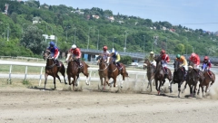 BEOGRADSKI HIPODROM VAS ZOVE Počinje sezona trka na najstarijem sportskom objektu u gradu