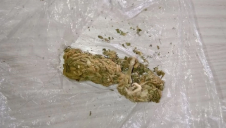 NEMAC UHAPŠEN U PIROTU Policija mu pronašla preko tri kilograma droge