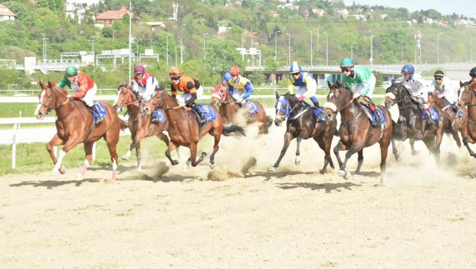 PRAZNIK KONJIČKOG SPORTA U nedelju na Beogradskom hipodromu 100. srpski galopski derbi, očekuje se dolazak Nikole Jokića