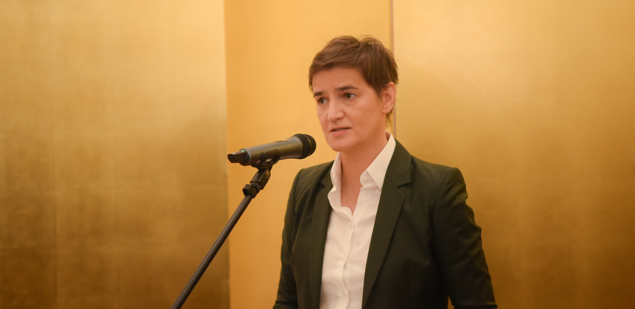 Brnabić: Danas moguć nastavak razgovora u vezi Stelantisa
