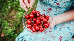 TREŠNJE SU DOBAR IZVOR VITAMINA Ovo je preporučena dnevna doza ovog voća koju treba da pojedete
