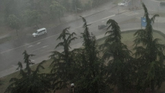 PRVE FOTOGRAFIJE NEVREMENA U NIŠU Oluja lomila drveće, ulice pretvorene u reke (FOTO)