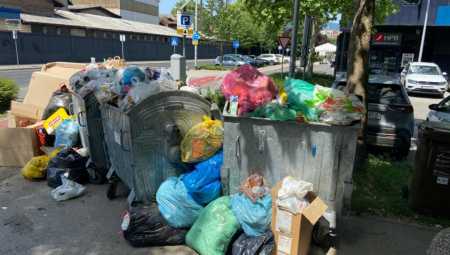 HRPA ĐUBRETA KOD MEDICINSKE ŠKOLE U BEOGRADU Prizor od koga će vam se prevrnuti želudac (FOTO)