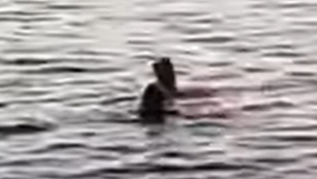 ISPLIVAO NOVI SNIMAK KRVAVOG HAOSA U HURGADI Video izbliza otkriva tragične poslednje momente stradale žene (VIDEO)