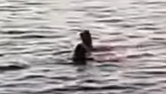 ISPLIVAO NOVI SNIMAK KRVAVOG HAOSA U HURGADI Video izbliza otkriva tragične poslednje momente stradale žene (VIDEO)