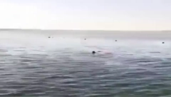 (UZNEMIRUJUĆI VIDEO) "VIDEO SAM AJKULU NA 15 METARA, ALI MI NIKO NIJE VEROVAO" Tragedija u Hurgadi je mogla biti izbegnuta?