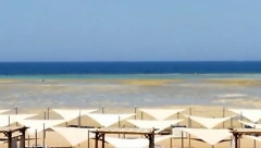 SRPSKA DOKTORKA SPASILA DEVOJČICU U EGIPTU Maloj Ruskinji je pozlilo dok je bila u moru