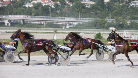 DERBI Jokićev konj završio treći! (VIDEO)