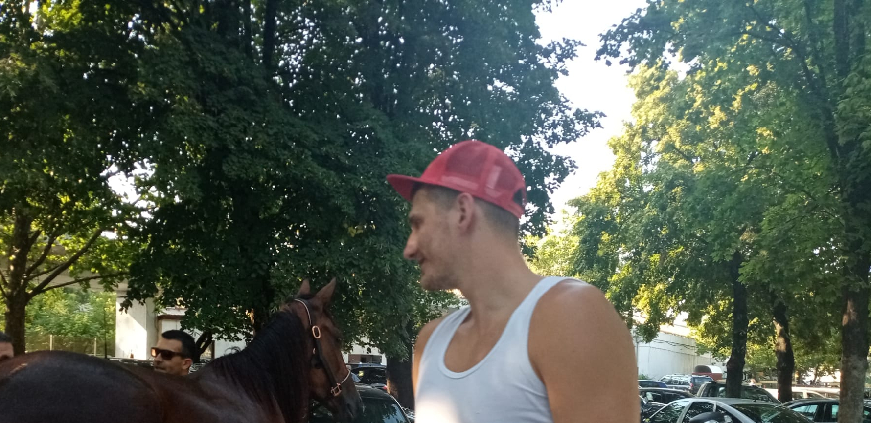 JOKIĆ KUPIO NOVO GRLO Nikolina štala jača za ćerku najboljeg konja svih vremena (VIDEO)