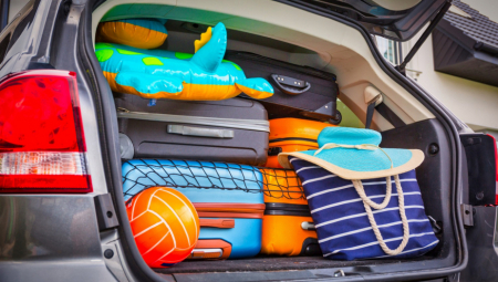 MANJE VINA, MANJE VINA Ovo je spisak stvari koje ne smete nositi preko granice, kazne mogu biti ogromne