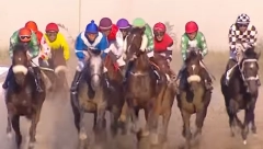 DRAMA NA BEOGRADSKOM HIPODROMU Konj zbacio džokeja, na nosilima odvezen u bolnicu