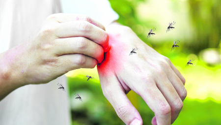 OTKRIJTE PRIRODNU ZAŠTITU OD KOMARACA: Dve biljke za uživanje na otvorenom bez ujeda i svraba