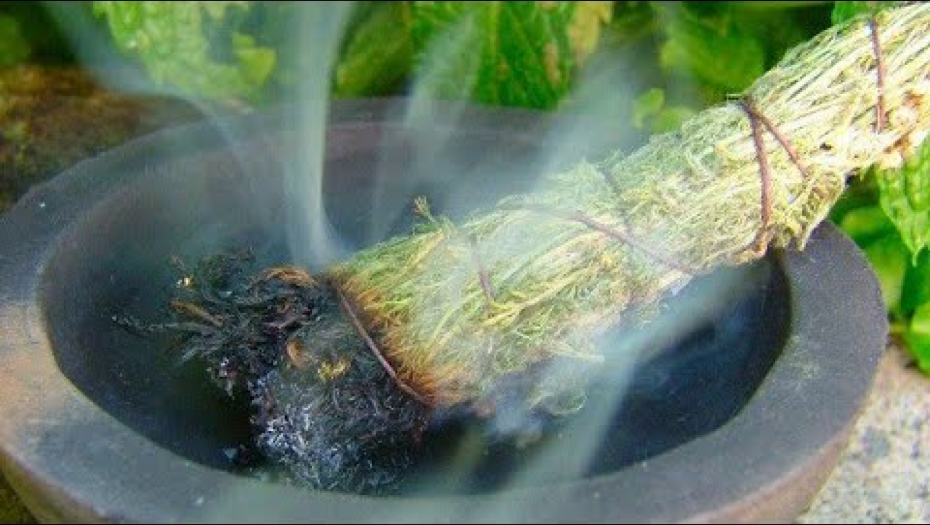 PROČISTITE VAZDUH I ISTERAJTE ZLO Savijte listove žalfije u “štapić” i zapalite, sprečićete glavobolju, kašalj, rak pluća i srčane bolesti