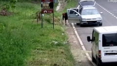 OVOME SE NIJE NADALA Žena bacila smeće iz kola, a kazna za bezobrazluk naučiće je pameti