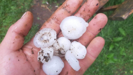 STIŽU NEPOGODE! U ovim delovima Srbije će sutra biti haos