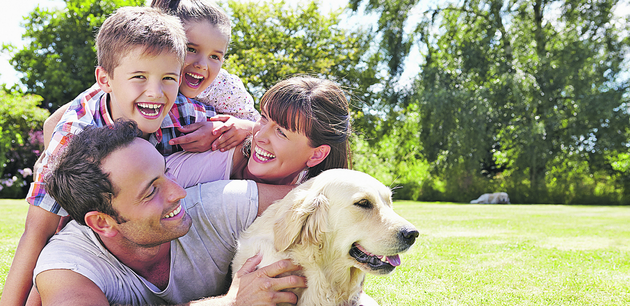 ČINE NAS BOLJIM I ZDRAVIJIM LJUDIMA Evo zašto je dobro da imamo kućnog ljubimca