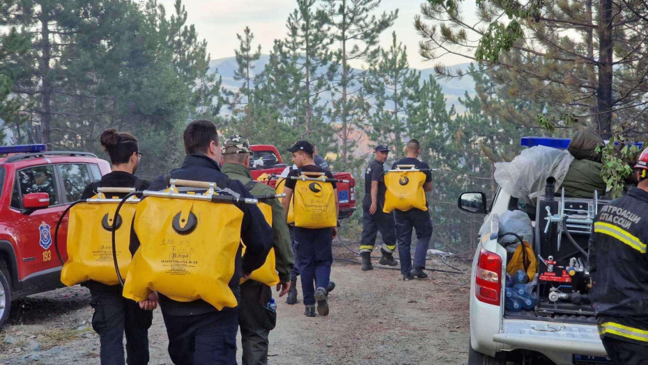 POŽAR U KRALJEVU Grom udario u borovu šumu i izazvao katastrofu! (FOTO)