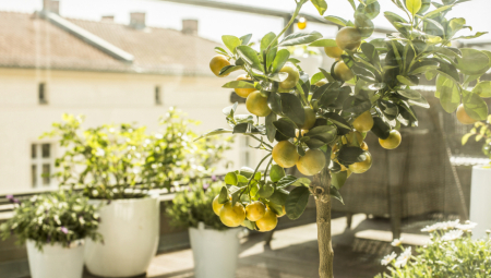 OVO JE NAJPOŽELJNIJI STAN U BEOGRADU U 2023! Šta sve sadrži penthaus s pogledom na reku