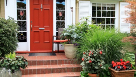 POSTAVITE OVU BILJKU ISPRED ULAZNIH VRATA I DOŽIVEĆETE ČUDO Sreća i blagostanje će preplaviti vaš dom