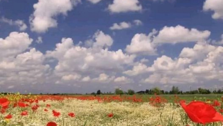 VELIKI NEDELJNI HOROSKOP Bikove i Blizance očekuje povoljan poslovni period, Rakovi će imati problema sa glavoboljom,Škorpije očekuje stabilnost na ljubavnom planu