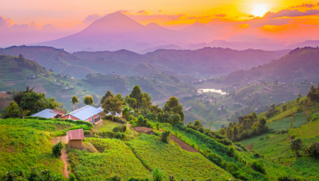 JEDNO PITANJE NA DRUŠTVENIM MEŽAMA POKRENULO LAVINU KOMENTARA Evo zašto domaćini iz cele Srbije zovu u goste porodicu iz Beograda