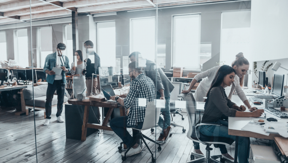 PRIMA PROGRAMERE BEZ SREDNJE ŠKOLE! VLASNIK IT FIRME PRIZNAO: Nikad u životu nisam pitao imaju li radnici diplome!