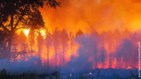DA LI NAM PRETI NAJTOPLIJA PRESTUPNA GODINA! Meteorolog otkriva šta nam donosi anticiklon Zevs - spremite se za NADPROSEČNE temperature