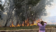 TOPLOTNI TALAS UDARIO NA EVROPU! Temperatura probija 40 stepeni, više od 1.000 ljudi umrlo zbog vrućine (FOTO)
