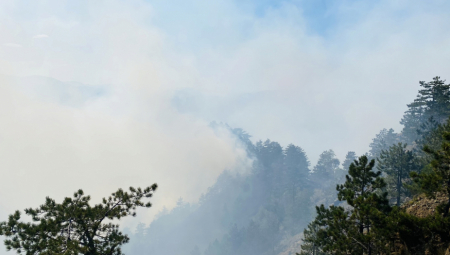 POŽAR NA DIVČIBARAMA Gore hektari zemljišta pod travom i drvećem (FOTO,VIDEO)