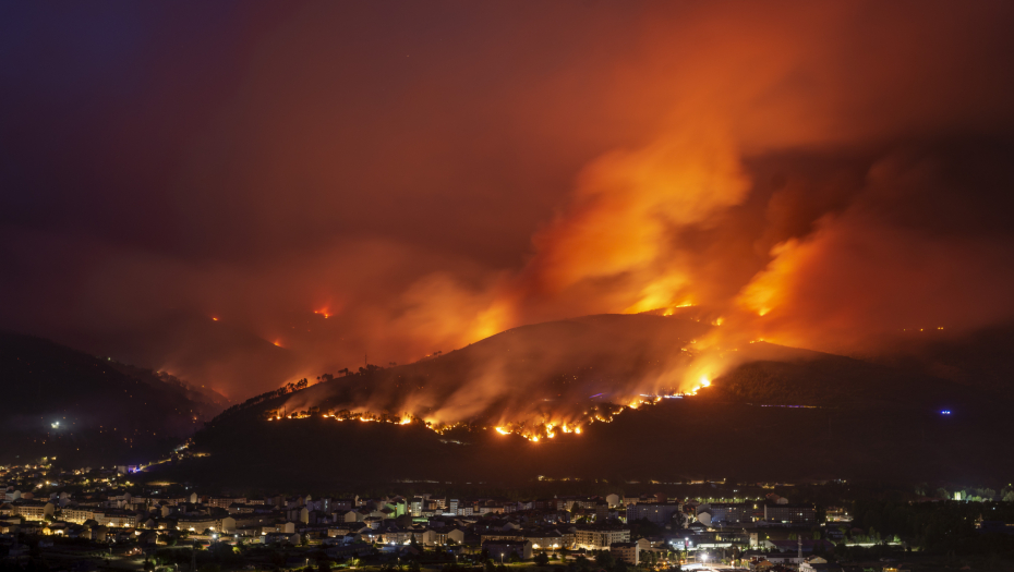 SNAŽAN VETAR OTEŽAVA GAŠENJE POŽARA KOD ŠIBENIKA Gusta borova šuma i visoke temperature napravile veliku buktinju!