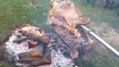 ŠTA TO SRBI PEKU NA RAŽNJU? Hit snimak zapalio društvene mreže - "Ovo su Nemanjići jeli na Đurđevdan!" (VIDEO)