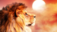 ISKORISTITE MOĆNU ENERGIJU ZA ISPUNJENJE ŽELJA: U avgustu se otvara Lavlja kapija, sreće će biti u izobilju