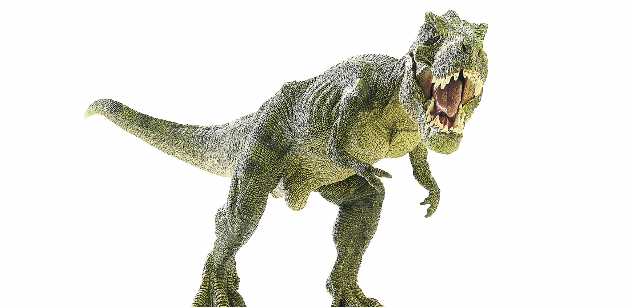 ISTRAŽIVAČI IZ ARGENTINE OTKRILI Novu vrstu džinovskog dinosaurusa predatora