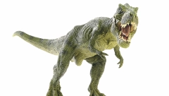 ISTRAŽIVAČI IZ ARGENTINE OTKRILI Novu vrstu džinovskog dinosaurusa predatora