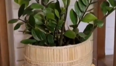 UNESITE DUH BOHO STILA U SVOJ DOM Napravite romantične korpe za cveće sa štipaljkama i starom kantom