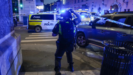 DETE (4) NASMRT IZBODENO Mališan pronađen u porodičnoj kući, uhapšena žena (41)