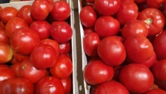 PARADJZ FEST U LEBANU Održana poljoprivredno-turistička manifestacija (FOTO)