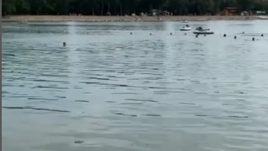 LEŠ PRONAĐEN U JEZERU Horor na Adi Ciganliji