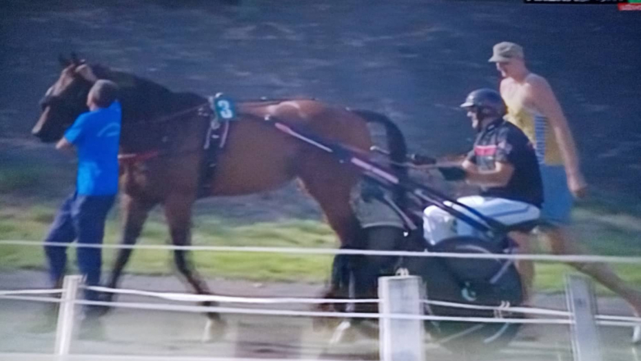 SLAVLJE NIKOLE JOKIĆA Njegov konj pobedio u najvećoj trci, ovaj trijumf mu je draži i od MVP nagrade