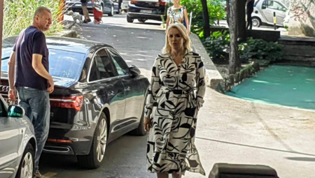 VESIĆ NASMEJAN, DAME ELEGANTNE Funkcioneri SNS raspoloženi stigli u sedište stranke (GALERIJA)